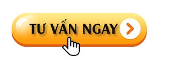 tu van ngay 1 b623489847f448068f6a7c16ca60a24a